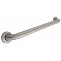 TAYMOR Wall Grab Bar: Straight, 24 in Lg, 1 1/4 in Dia, Stainless Steel, Satin, 300 lb Wt Capacity (MPN 01-C230024)