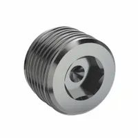 Plug: Hex Drive Cored Plug, 1 in, BSPT Threaded, 316 Stainless Steel, 2,176 psi, 11/16 in Lg (MPN 0285 34 00)