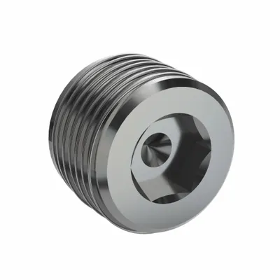 LEGRIS Plug: Hex Drive Cored Plug, 1 in, BSPT Threaded, 316 Stainless Steel, 2,176 psi - High Pressure Precision Pipe Fittings