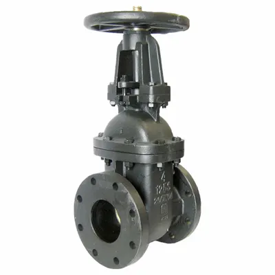 MILWAUKEE VALVE 5 in Cast Iron OS&Y Gate Valve 2885-M 5 - Cast Iron Outside Stem & Yoke (OS&Y) General Purpose Gate Valves