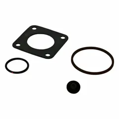 Conversion kit for Fill-Rite SD600 series pumps, enabling use with biodiesel and E85 fuels. Includes rotor cover gasket. Compatible with model FR4210HB.