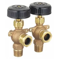 APOLLO Water Gauge: Bronze, 3/4 in Gauge Glass Dia, 16 in Gauge Glass Lg, 400°F Max. Media Temp, NPT (MPN 2020800)
