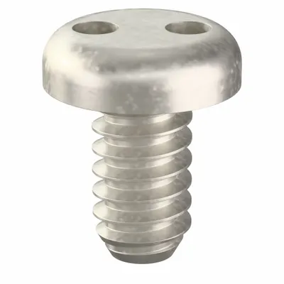 TAMPER-PRUF SCREW Tamper Resistant Screw: #6-32 Thread Size, 1/4 in Lg, Stainless Steel, Plain - Pan Head Tamper-Resistant Machine Screws