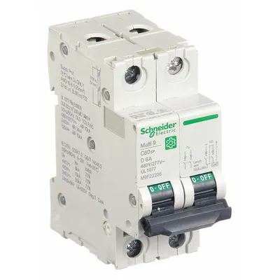 SCHNEIDER IEC Supplementary Protector: 6 A Amps, 14kA at 240V AC, Screw Clamp, C60SP - D-Curve, 2-Pole UL1077 DIN Rail-Mount Supplementary Protectors
