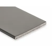 This door astragal insert measures 7 ft in length, 2 in width, and 2 in height, with a steel flange for mounting. It is used to seal the gap between double doors, reducing drafts, light, and sound passage. Suitable for commercial or industrial door pairs