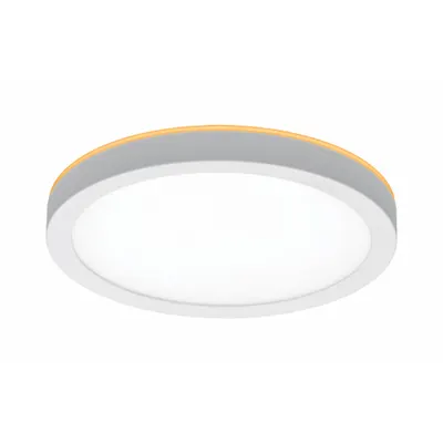 LED Flush Mount: 8 in Dia, White, 2 1/2 in Ht, 800 lm, 3000K/4000K/5000K, 12 W - Standard Round Surface-Mount Downlights