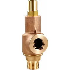 This bronze pressure relief valve is designed for overpressure protection in non-code air, inert gas, and liquid systems. It features 2 in MNPT x FNPT connections and is adjustable to suit system requirements, with a maximum operating pressure of 50 psi.