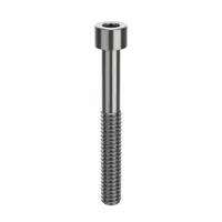 Socket Head Cap Screw: 1/4"-20 Thread Size, 2 in Lg, Std, NL-19, Stainless Steel, 18-8, 25 PK (MPN FBSCAPS14202P25)