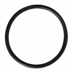 This O-ring is a seal kit and gasket component for straight centrifugal pumps. It is compatible with Dayton Chemical-Resistant Pedestal Pump model 2YEX2. Used in industrial fluid-handling applications to provide a leak-proof seal.