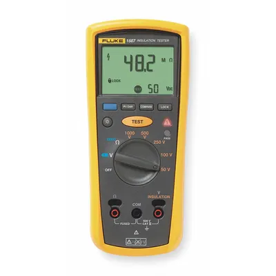 FLUKE Megohmmeter: 0.01 megaohm to 10 gigohm, CAT IV 600V, IP40, Digital, No Output - Standard Feature Megohmmeters