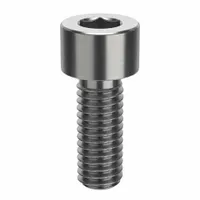 Socket Head Cap Screw: #10-32 Thread Size, 1/2 in Lg, Std, NL-19, Stainless Steel, 18-8, 100 PK (MPN FBFTSCAPS103212P100)
