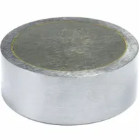 Alnico Magnet: Encased, 0.5 in Thick, 1 1/4 in Outside Dia (MPN R1250)