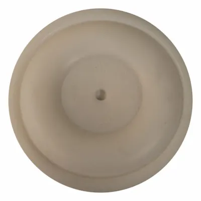 ARO 93898 PTFE Replacement Diaphragm - ARO Replacement Diaphragms