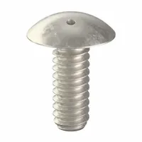 Tamper Resistant Screw: #10-24 Thread Size, 1/2 in Lg, Stainless Steel, Plain, Truss, Spanner, 10 PK (MPN 6001040)