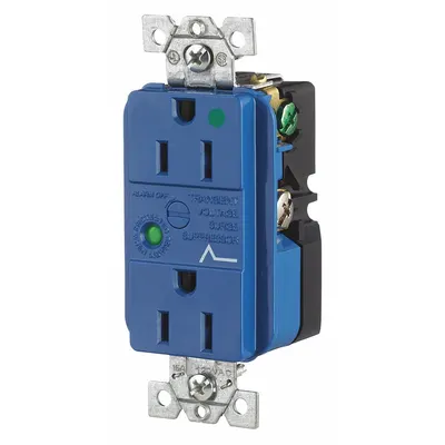 BRYANT Receptacle: Hospital Grade, Duplex, 5-15R, Blue, 125V AC, 15 A - General Purpose Receptacles