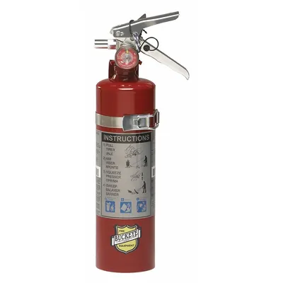 BUCKEYE 2.5 lb Class ABC Fire Extinguisher - Class ABC Fire Extinguishers