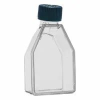 This sterile polystyrene cell culture flask has a 7 mL (0.24 fl oz) capacity and is graduated for volume measurement. It includes a closure to maintain sterility. Used for growing and maintaining adherent cell cultures in laboratory research