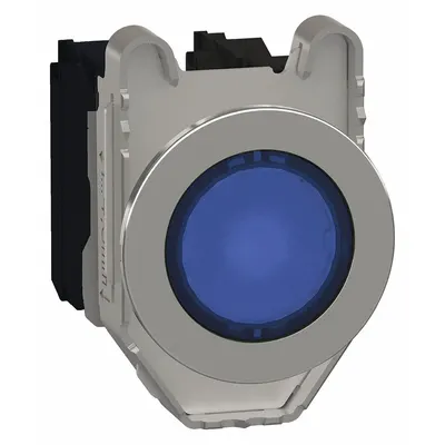 SCHNEIDER Illuminated Push Button: Illuminated, Flush Profile, Metallic, 30 mm - Illuminated Flush-Mount Push Buttons
