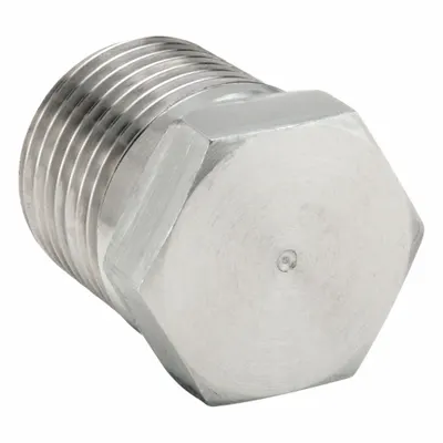PARKER Plug: Plug, 316 Stainless Steel, 3/4 in, Male BSPT Threaded, 5,500 psi - Extreme Pressure Threaded Pipe Fittings