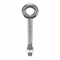 Machinery Eye Bolt: Without Shoulder, 316, Stainless Steel, Plain, 4 in Thread Lg, 12 in Shank Lg (MPN N2012-316SS-12)