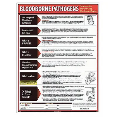 COMPLYRIGHT Bloodborne Pathogens Poster - Bloodborne Pathogens Posters