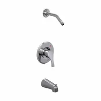 This chrome-finished combination unit includes a bathtub spout and a fixed shower arm. It delivers a flow rate of 1.75 gpm for the showerhead. Suitable for residential and light commercial bathroom installations