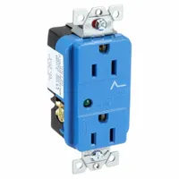 Duplex general-purpose receptacle with NEMA 5-15 configuration, rated 125V AC and 15A, 2-pole/3-wire grounding. Blue nylon housing provides high visibility and impact resistance. Suitable for power distribution in commercial and industrial settings, including office equipment, workstations, and light machinery