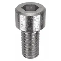 Socket Head Cap Screw: #10-32 Thread Size, 3/8 in Lg, Std, NL-19, Stainless Steel, 18-8, 100 PK (MPN FBFTSCAPS103238P100)
