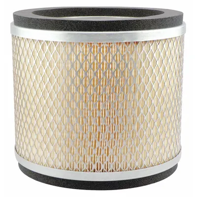 BALDWIN FILTERS Round/Oval Engine Air Filter PA1689 - Round/Oval Engine Air Filters