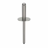 Large flange blind rivet with 0.183-inch diameter and 1 41/42-inch overall length. Body length is 43/64 inch. Supplied in a 100-piece pack. Used for fastening sheet metal, plastics, or composites in inch-system applications where a wide bearing surface is required