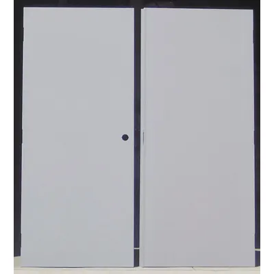 CECO Flush Double Door: No Window, 180 min Fire Rating, 84 in Door Opening Ht - Security Doors