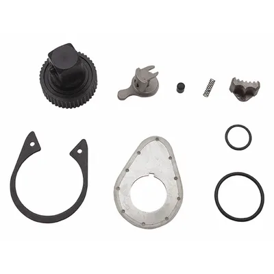 PROTO J5249XLRK-TT Ratchet Repair Kit, 3/8 in Drive, 10-Piece - Ratchet Repair Kits