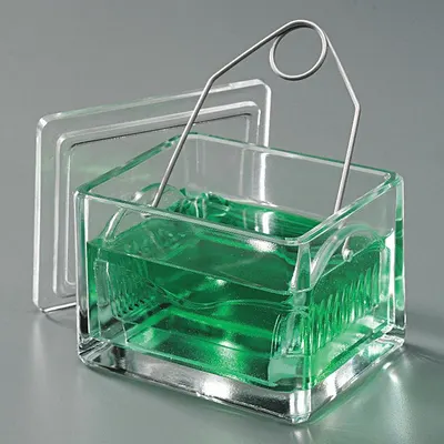 WHEATON Staining Dish with Cover and Rack, Glass, 20-Sample Capacity - Staining Dishes
