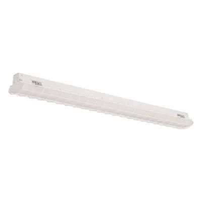 DAYBRITE Wire Guard for FluxStream Industrial, 4 ft - Hazardous Location Lighting Guards & Protectors