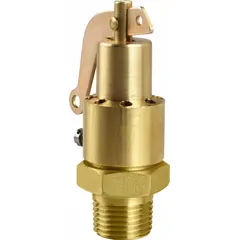 ASME Section VIII steam pressure relief valve with 1/4 in MNPT inlet and 1/4 in vented outlet. Constructed in brass with a maximum operating pressure of 214 psi. Used to protect pressure vessels and boilers from overpressure by automatically venting excess steam or gas.