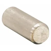 Roll pin with 3/16 inch diameter and 7/8 inch length, sold in a pack of 2. Used as a spring pin to secure components in pumps and industrial machinery, absorbing vibration and preventing loosening during maintenance and repair of rotating equipment