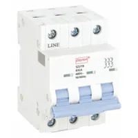 DAYTON IEC Supplementary Protector: 32 A Amps, 7.5kA at 480V AC, Screw Clamp, NDB2-63, 480V AC