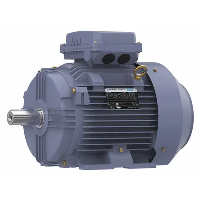 MARATHON MOTORS Rigid Base 3-Phase IEC Metric General Purpose AC Motor - Rigid Base 3-Phase IEC Metric General Purpose AC Motors