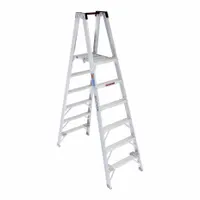 This 6 ft twin-platform stepladder is constructed from lightweight aluminum and rated for a 300 lb load capacity. It weighs 36 lb and includes a guard rail for added safety. Suitable for elevated tasks in maintenance, construction, and facility management where a stable standing area and tool shelf are required
