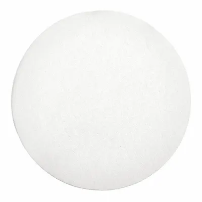 CYTIVA WHATMAN 934-AH Grade Glass Microfiber Filter, Binder Free, 3.7 cm - 934-AH Grade Glass Microfiber Filters, Binder Free