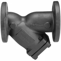 Cast iron Y strainer with flanged connections and a 0.062 in perforated screen made of 304 stainless steel. Non-asbestos seal material. Used in piping systems to remove solid particles from steam, water, or other fluids, protecting downstream equipment such as valves and pumps.