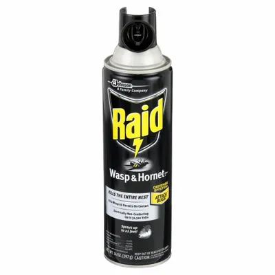 RAID Wasp and Hornet Killer: For Use On Flying and Crawling Insects, Aerosol Spray Can - Insecticides for Flying & Crawling Insects