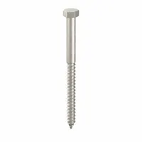 Hex Head Lag Screw: 3/8 in Size, 5 in Lg, Stainless Steel, NL-19, 5 PK (MPN FBLB385P5)