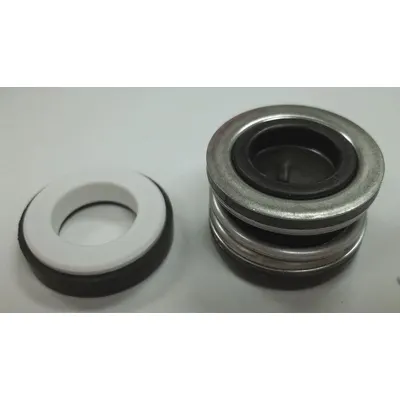 GOULDS WATER TECHNOLOGY 10K10 Seal Kit & Gasket for Straight Centrifugal Pumps - Seal Kits & Gaskets for Straight Centrifugal Pumps