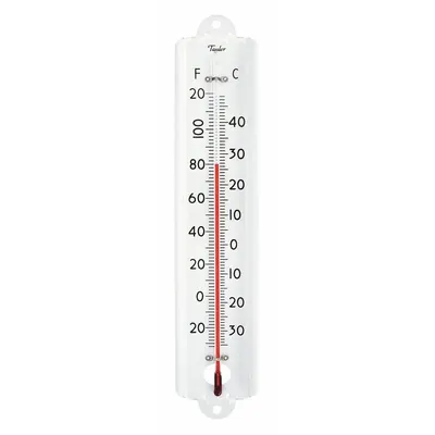 TAYLOR Wall Mount Liquid-in-Glass Thermometer - Wall Mount Liquid-in-Glass Thermometers