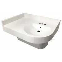 Wall-mounted institutional bathroom sink with a D-shaped bowl. White finish, 14 1/2 in bowl length, 4 in bowl depth. ADA compliant for accessible commercial restrooms