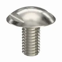 Machine Screw: M3x0.50 Thread Size, 6 mm Lg, Truss Head, Spanner, 316, Stainless Steel, Plain (MPN K1329.03X6)