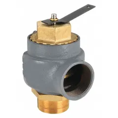 ASME Section IV steam pressure relief valve with 2 in MNPT x 2 in FNPT connections. Cast iron body rated for 29 psi maximum operating pressure. Used in low-pressure steam systems, heating plants, and industrial process lines for overpressure protection.
