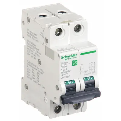 SCHNEIDER Supplementary Protector: 20 A Amps, 14kA at 240V AC, Screw Clamp, C60SP - C-Curve, 2-Pole UL1077 DIN Rail-Mount Supplementary Protectors