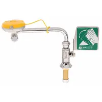 This plumbed counter-mount eyewash station provides emergency eye irrigation. It features eyes coverage, swing-left activation, and right-side mounting. Constructed with chrome-plated brass pipe, it is designed for permanent installation in industrial or laboratory settings where a continuous water supply is available